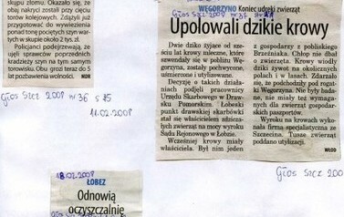 s14_wycinki2008