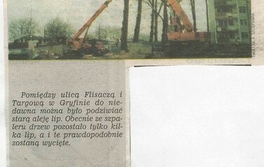 s02d_wycinki2000 Łobez