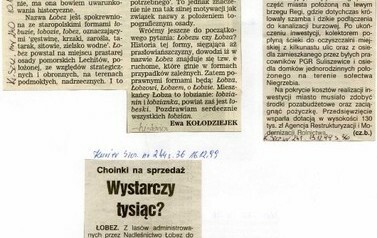 s100_wycinki1999 Łobez