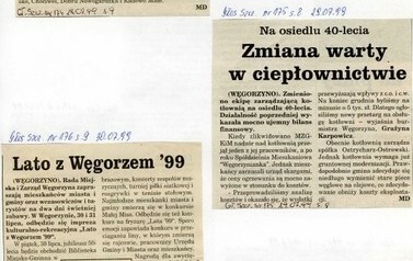 s20_wycinki1999 Region