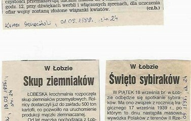 s104a_wycinki1998