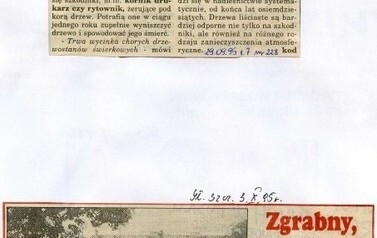 s64_wycinki1995