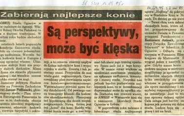 s20a_wycinki1995