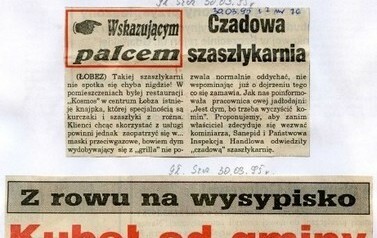 s18_wycinki1995