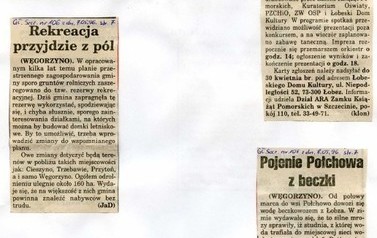 s27_wycinki1996