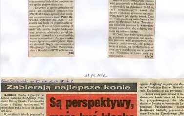 s30_wycinki1996