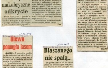 s16_wycinki1996