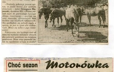 s22_wycinki1996