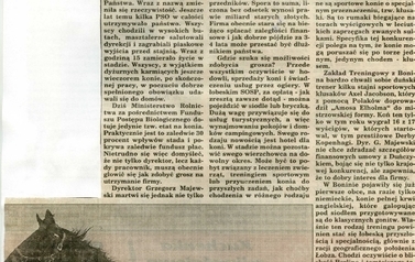 s15_wycinki1996
