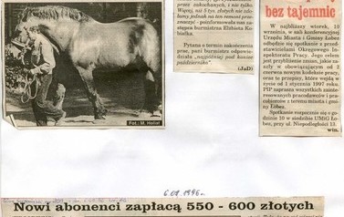 s12_wycinki1996