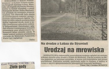s21b_wycinki1996