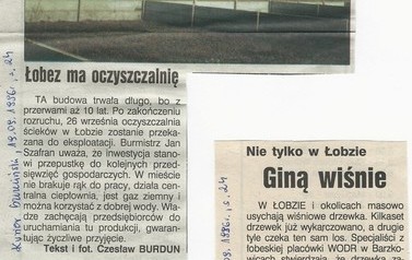 s10a_wycinki1996