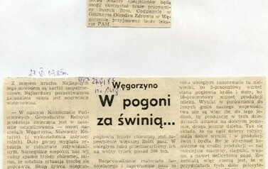 s29_wycinki1985